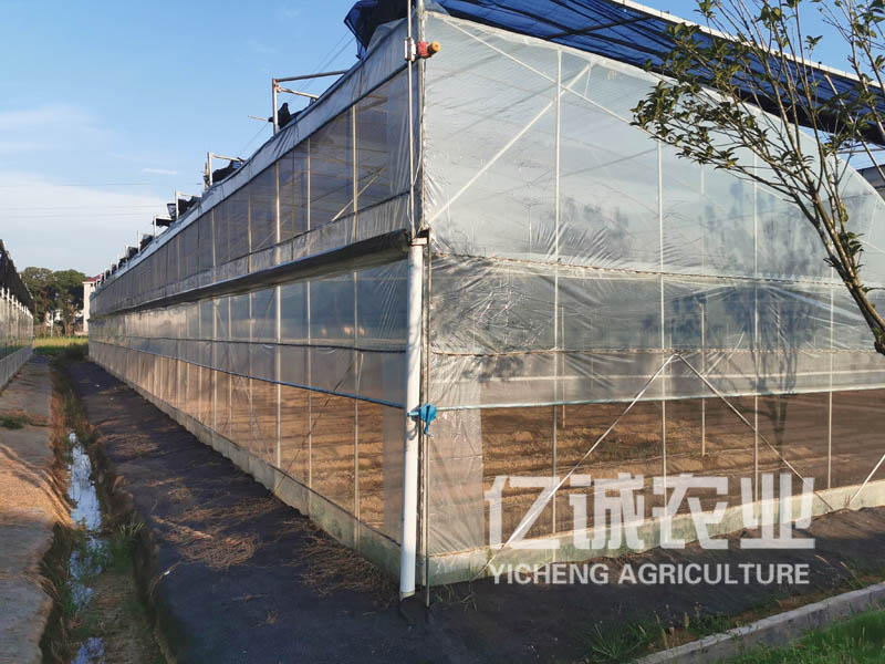 連棟智能溫室 連棟智能溫室