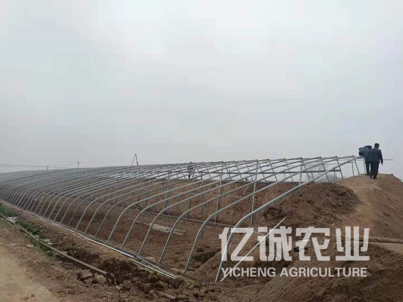 日光溫室大棚 日光溫室大棚
