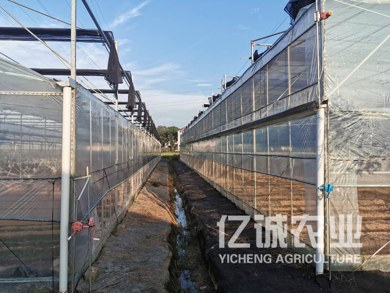 連棟溫室大棚建造商 連棟溫室大棚建造商