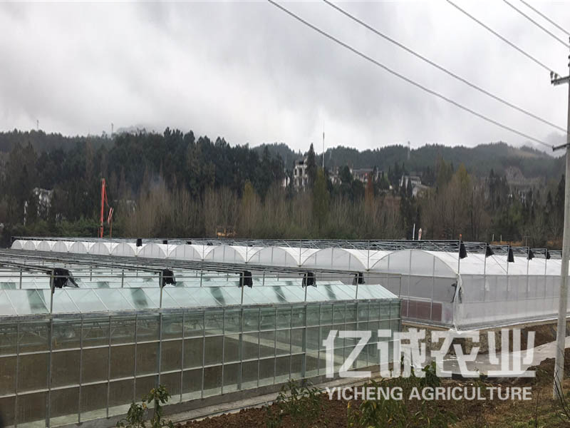 連棟蔬菜大棚 連棟蔬菜大棚