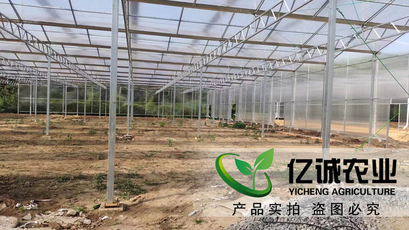 紋絡陽光板溫室