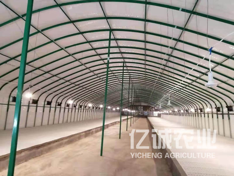 建養(yǎng)殖大棚