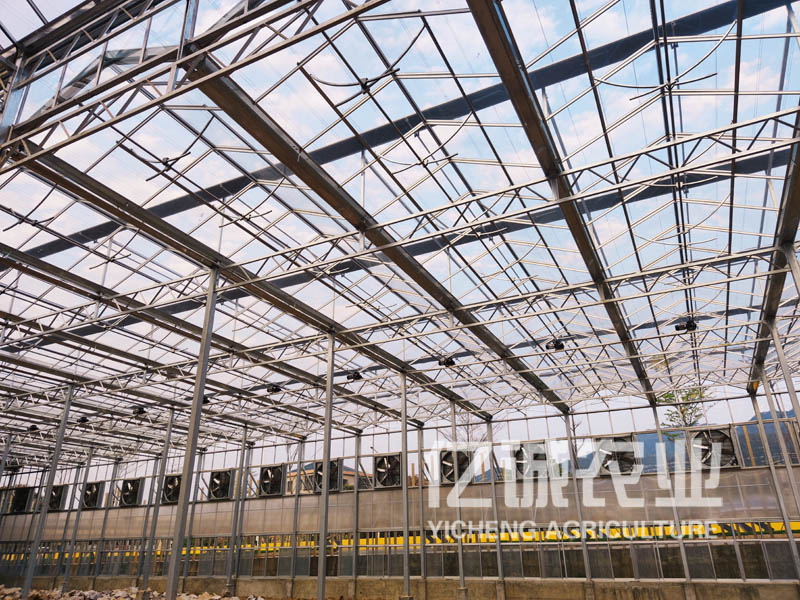 陽(yáng)光板溫室大棚造價(jià)