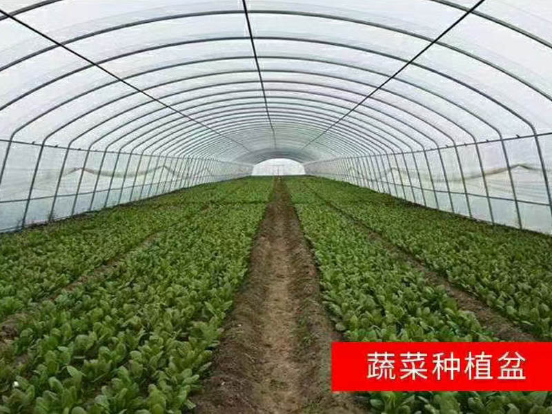 蔬菜大棚廠家