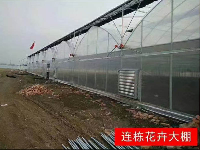 薄膜連棟溫室大棚造價