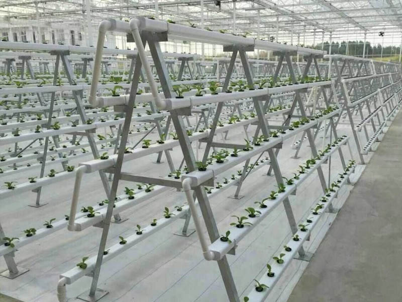 立體無土栽培溫室大棚建設(shè)