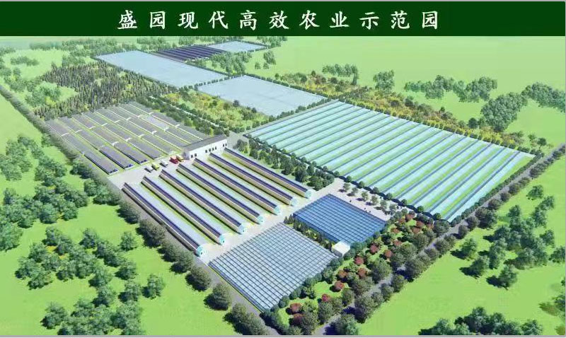 園區(qū)運(yùn)營 園區(qū)運(yùn)營